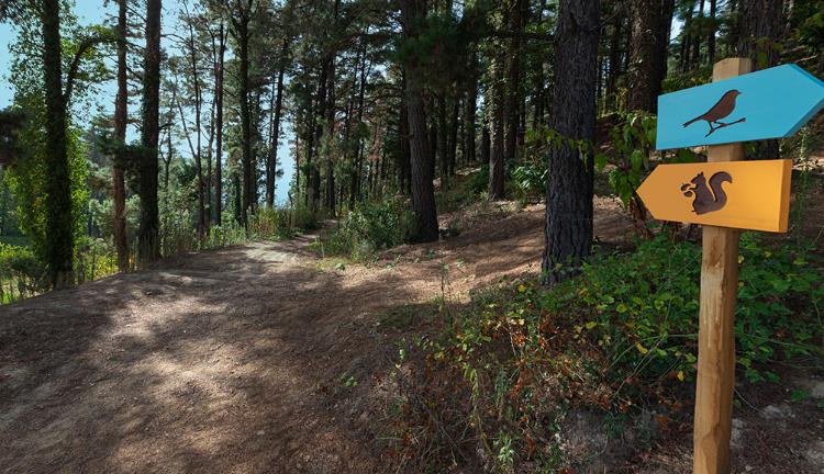 Ödüllü Şeflerden Özel Coffee Break İkramları